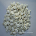 Snow White with White Skin Inshell Pumpkin Seeds